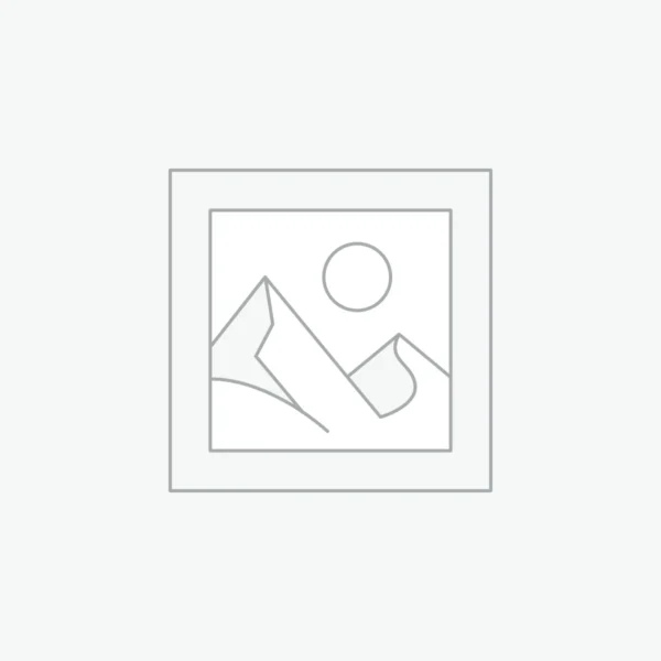 Hosim RC Car Suspension Shock Absorbers